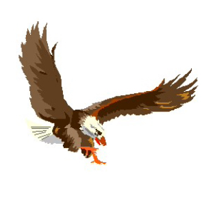 SOLUND NÆRINGSSAMSKIPNAD